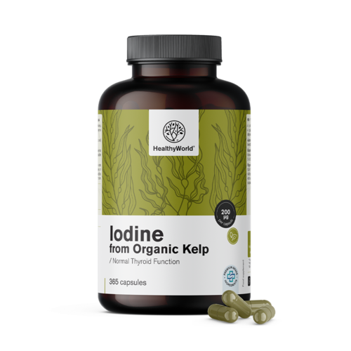 Naravni jod 200 µg – iz BIO alge kelp, 365 kapsul