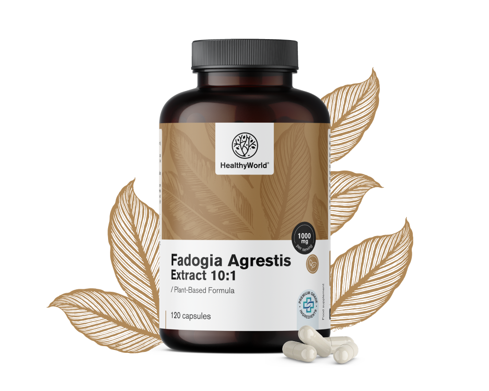 Fadogia Agrestis 1000&nbsp;mg