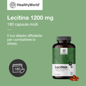 Image preview 3