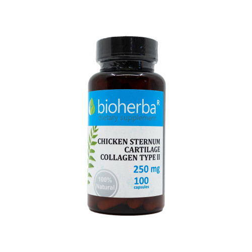 Collagene di tipo II 250 mg, 100 capsule