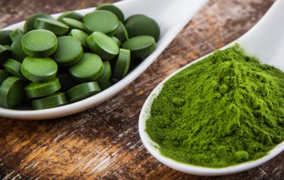 Clorella (Chlorella)