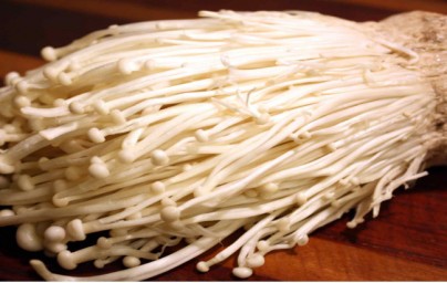Enoki