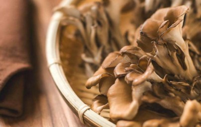 Maitake