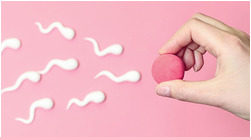 Calcolo del periodo fertile