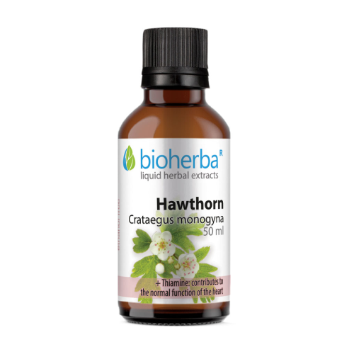 Glog - tinktura, 50 ml