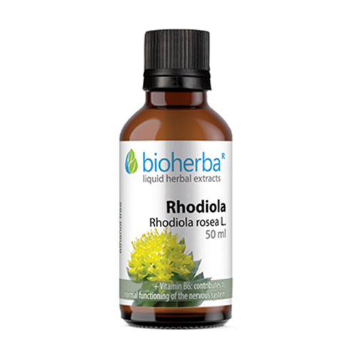 Rožni koren (Rhodiola) - tinktura, 50 ml
