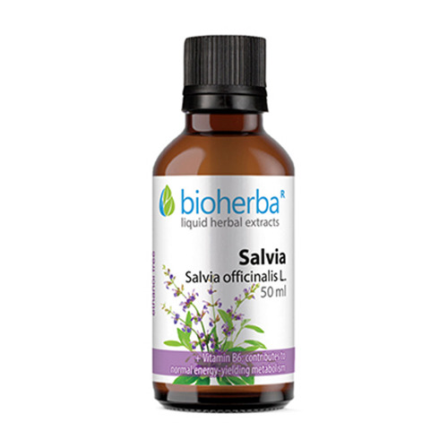 Žajbelj - tinktura, 50 ml