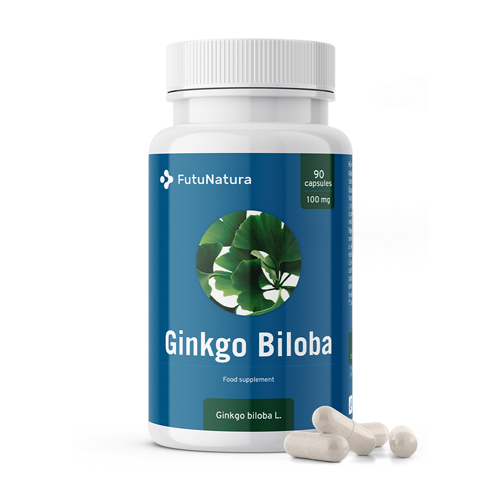 Ginko Biloba 100 mg, 90 kapsul