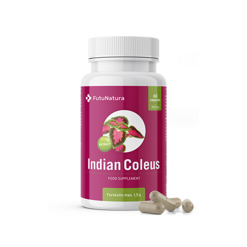 Indijska kopriva - Forskolin, 60 kapsul