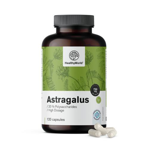 Astragalus – izvleček, 120 kapsul