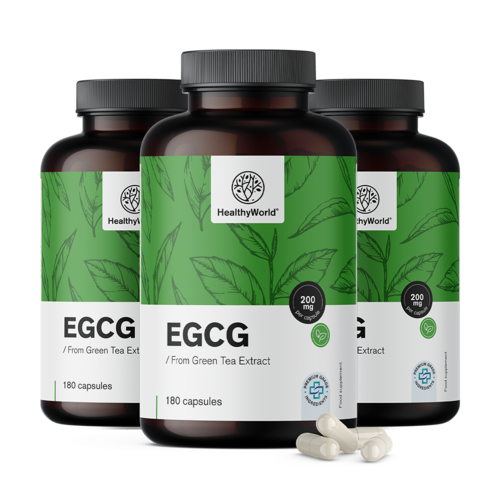 3x EGCG – iz izvlečka zelenega čaja, skupaj 540 kapsul