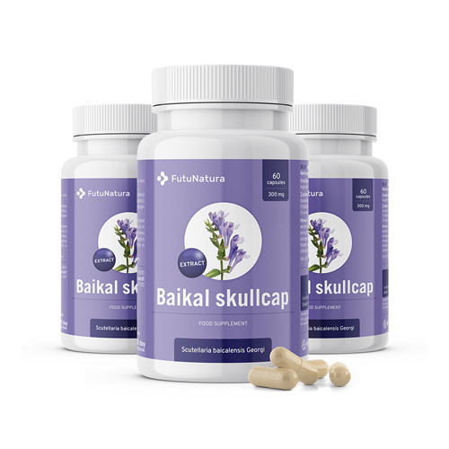 3x Bajkalska čeladnica – izvleček, skupaj 360 kapsul