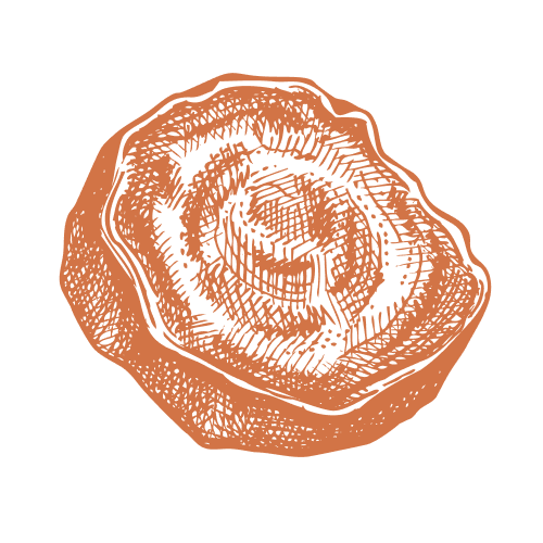 Chaga