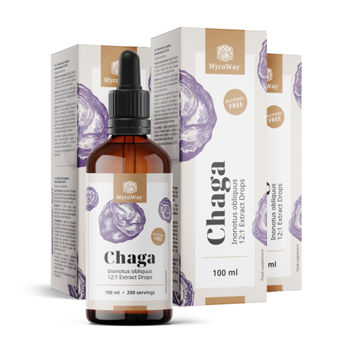 3x Chaga – výtažek v kapkách, dohromady 300 ml