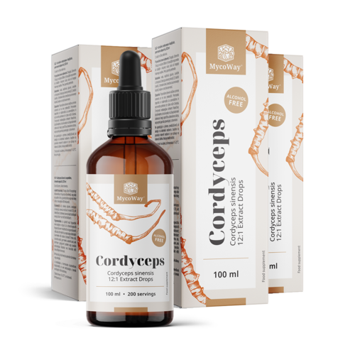 3x Cordyceps – výtažek v kapkách, dohromady 300 ml