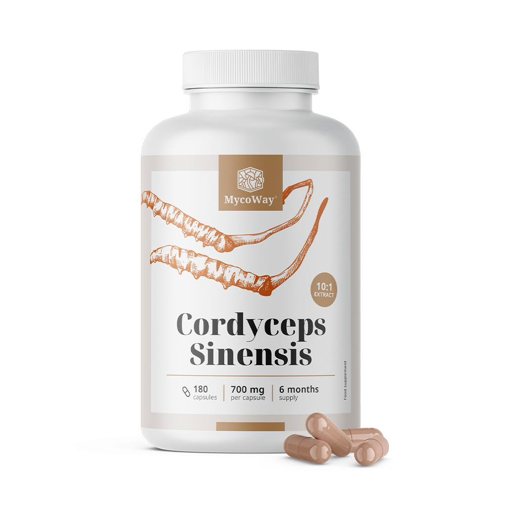 Cordyceps sinensis 1400 mg - extracto 10:1.