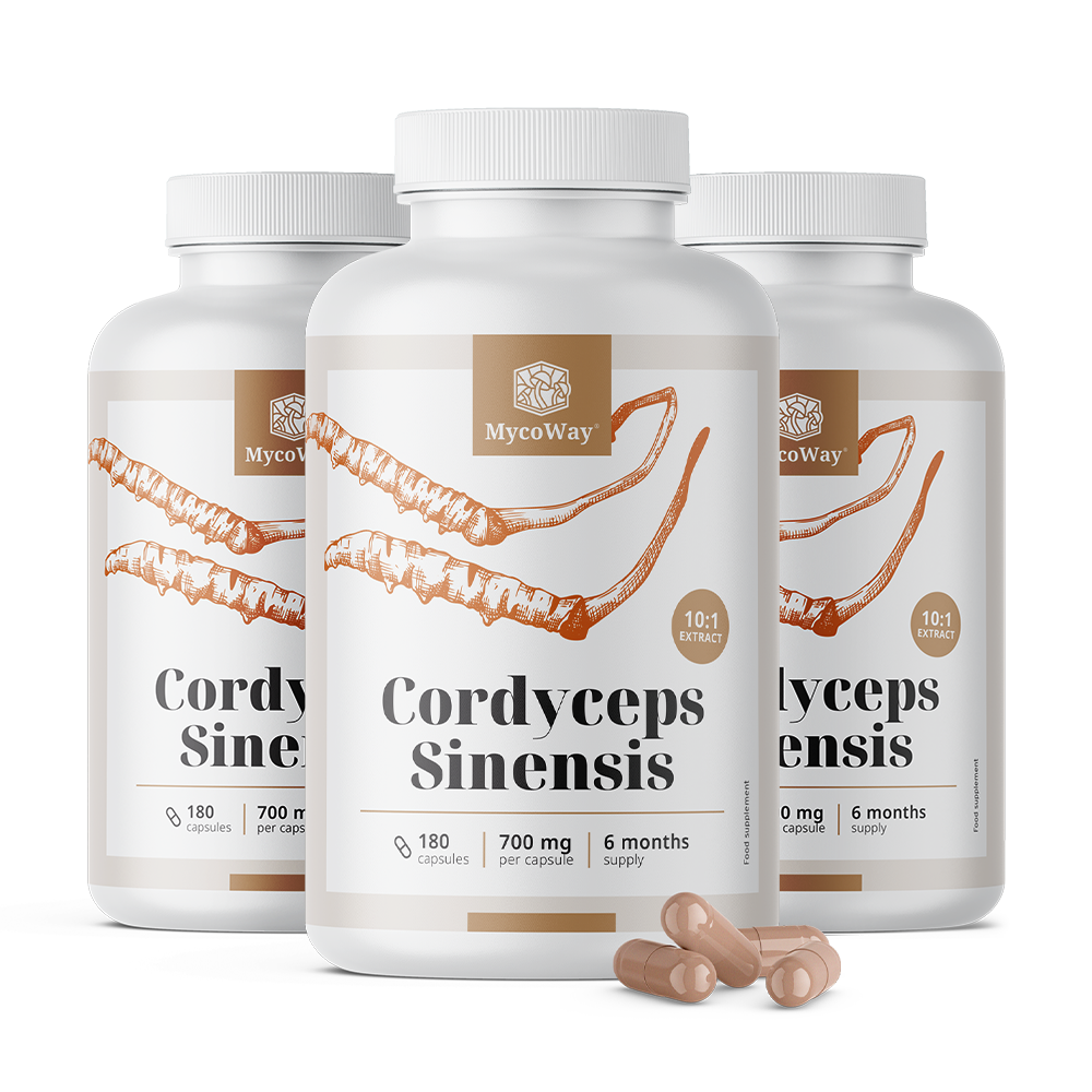 Cordyceps sinensis 1400 mg - extracto 10:1