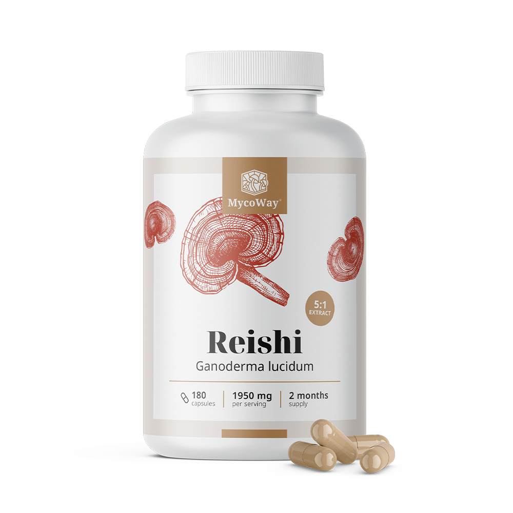 Reishi 1950 mg - extracto 5:1
