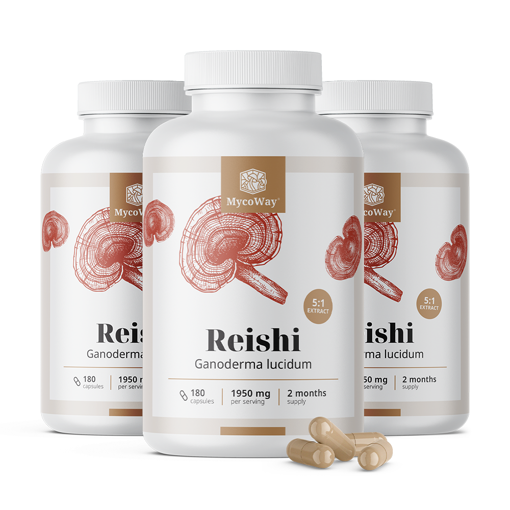 Reishi 1950 mg - extracto 5:1