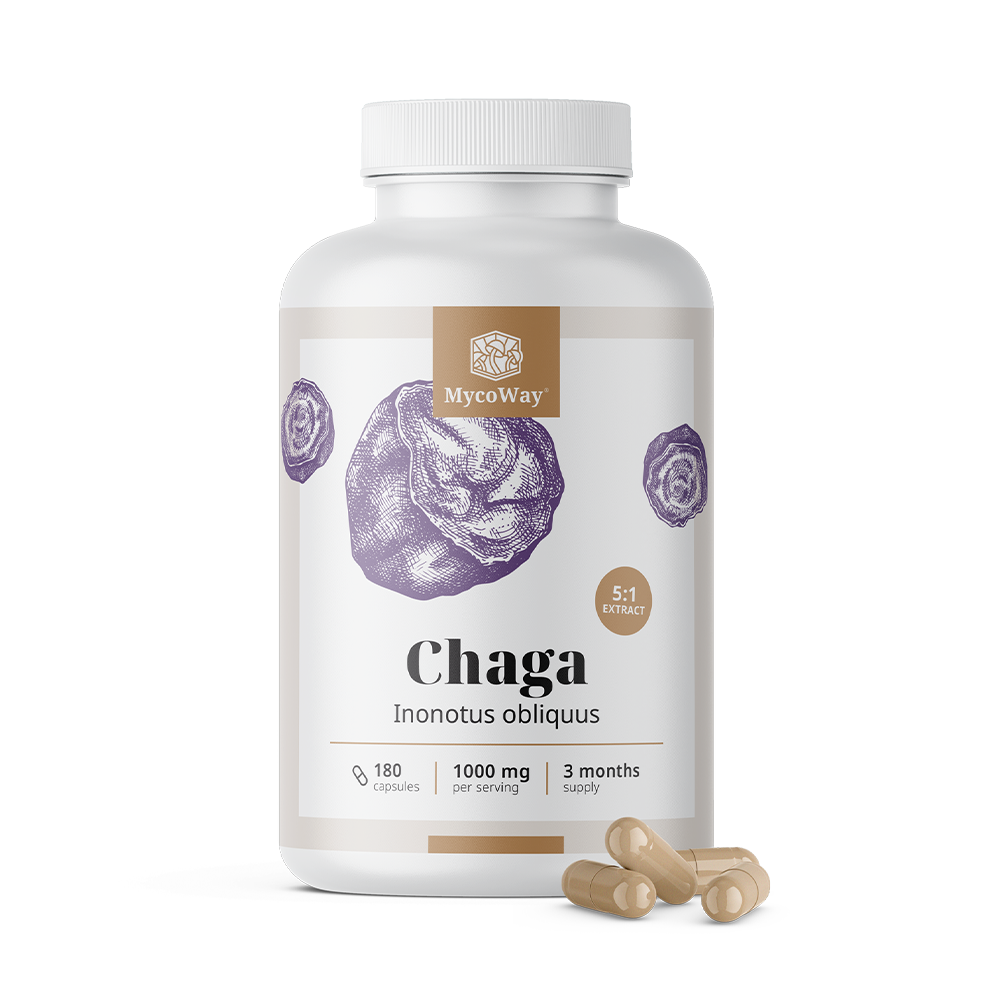 Chaga 1000 mg - extracto 5:1