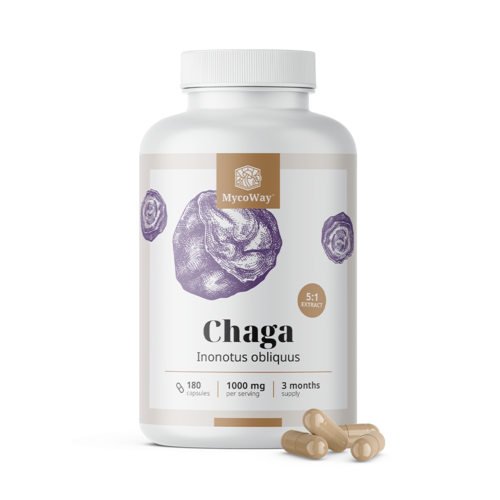 Chaga 1000 mg – extracto 5:1, 180 cápsulas