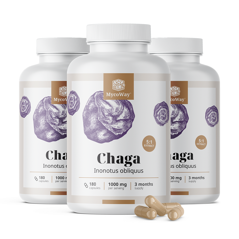 Chaga 1000 mg - extracto 5:1