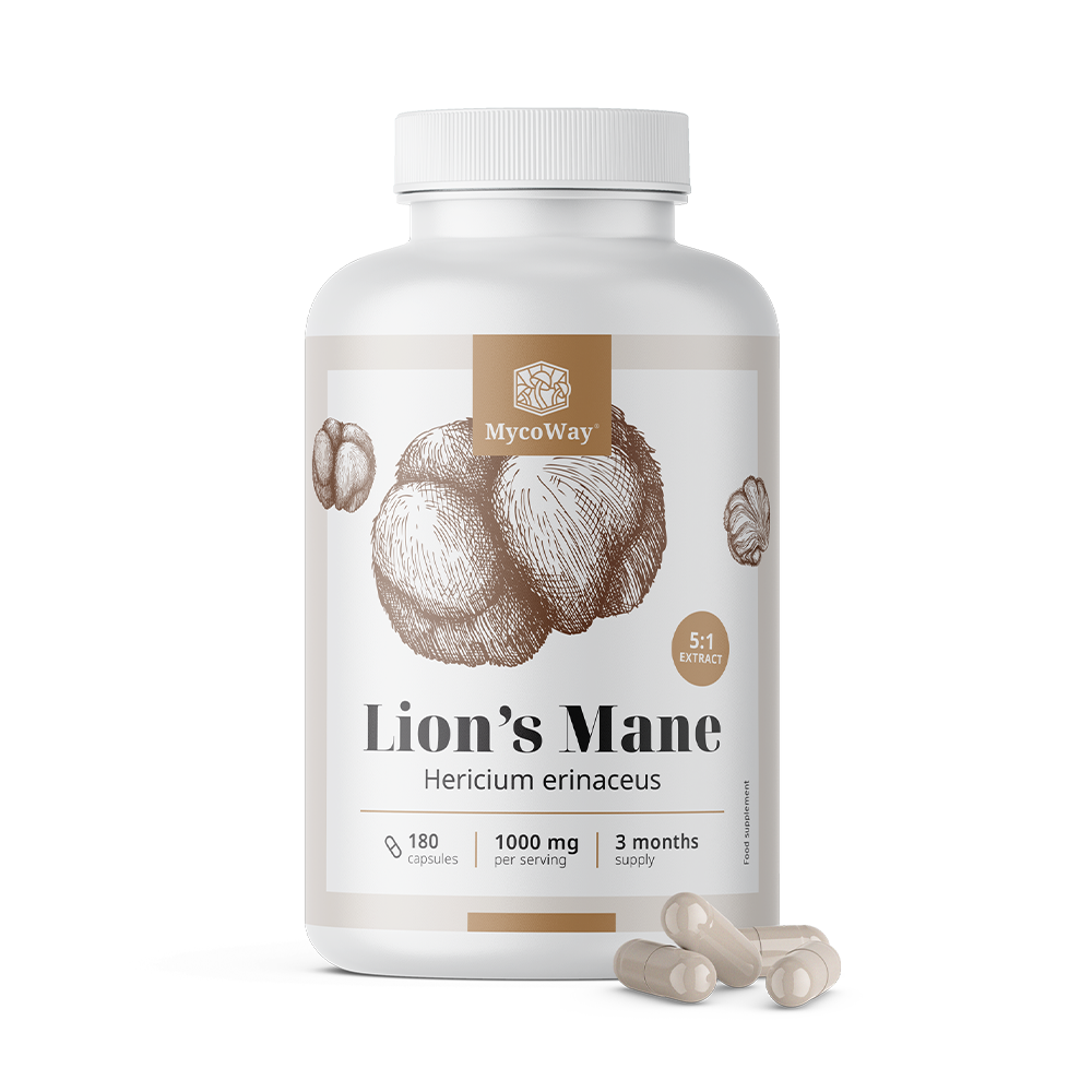 Barbudo resistente 1000 mg - extracto 5:1