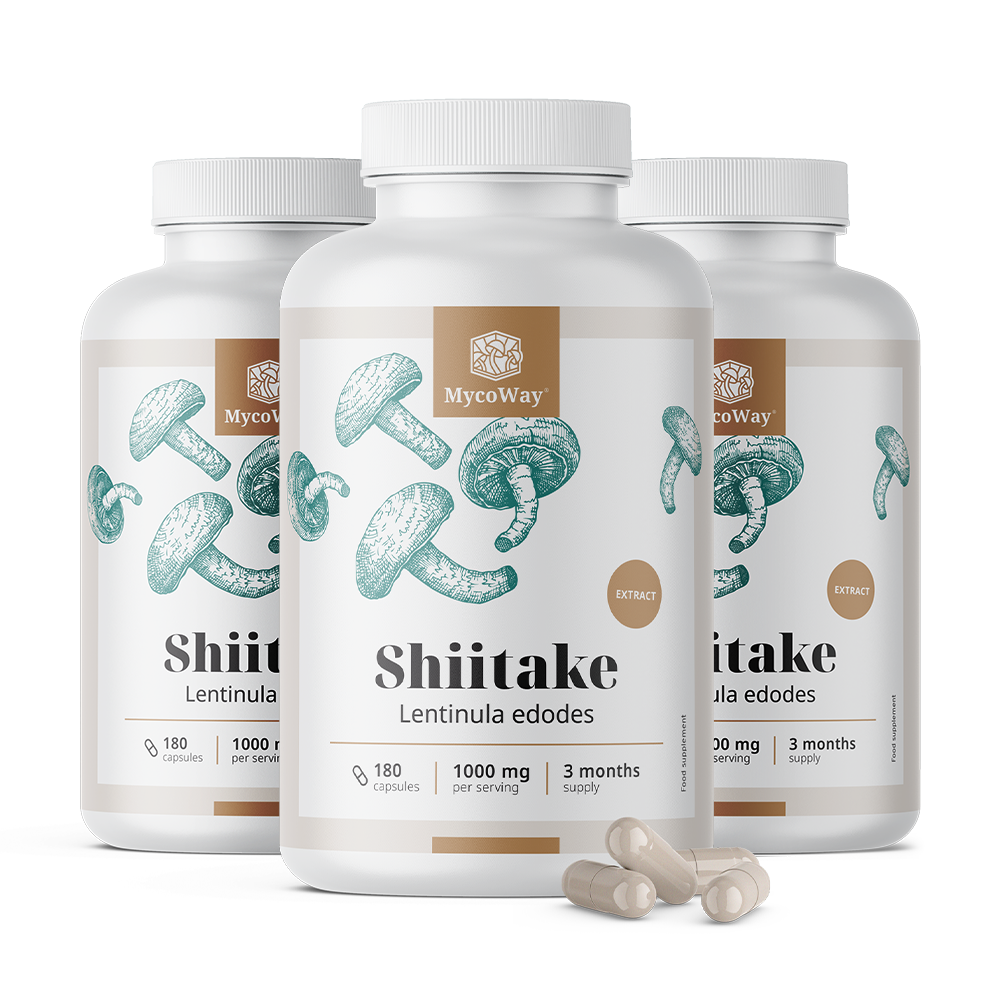 Shiitake 1000 mg - extract