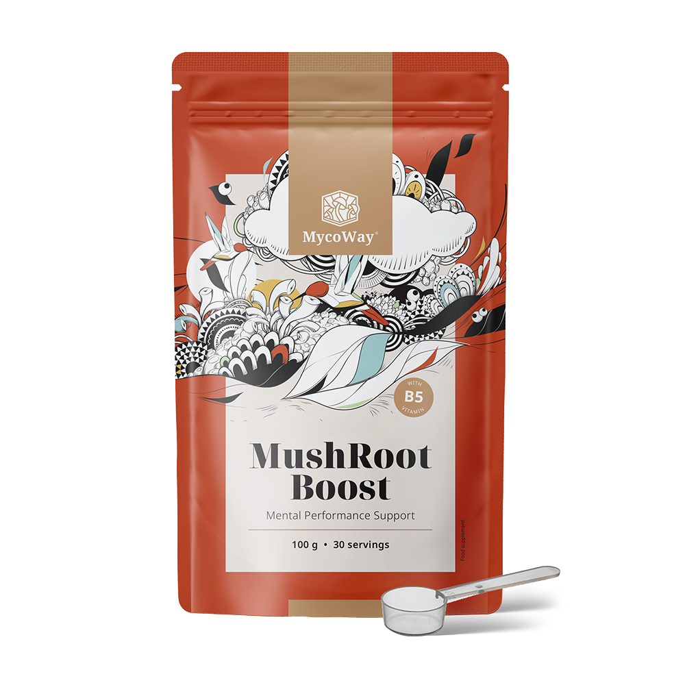 MushRoot Boost - bebida para mejorar la capacidad mental.