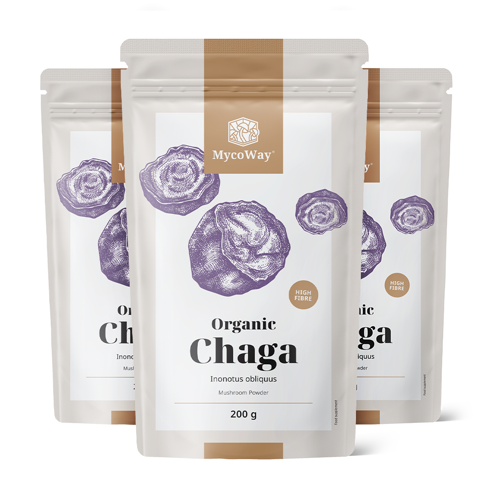 BIO Chaga en polvo