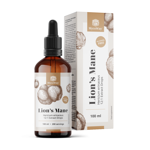 Melena de león – extracto en gotas, 100 ml