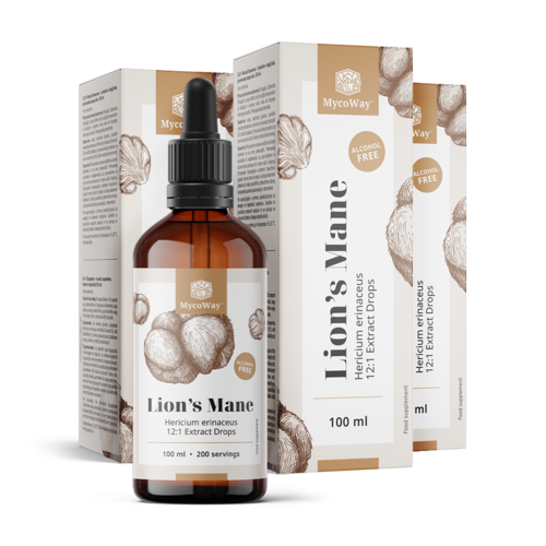 3x Melena de león – extracto en gotas, en total 300 ml