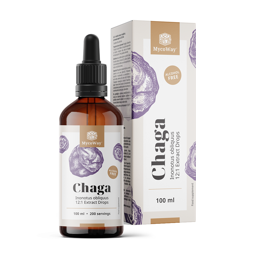Chaga - extracto en gotas.