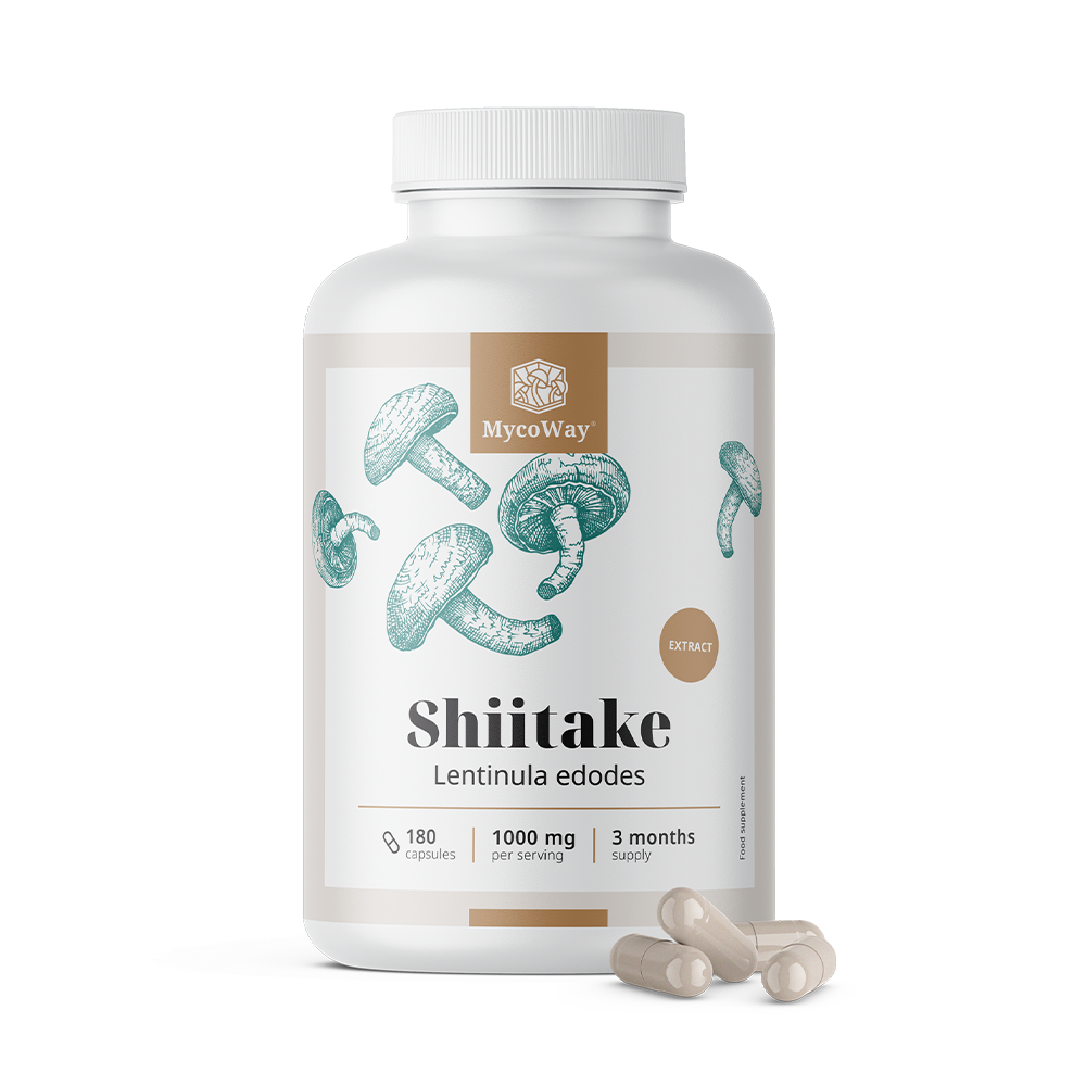 Shiitake 1000 mg - kivonat.