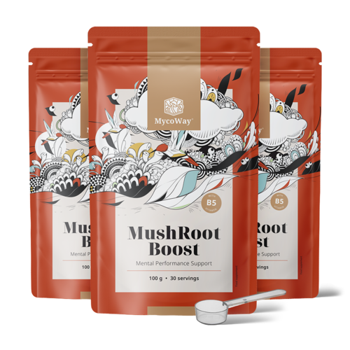 3x MushRoot Boost – ital a szellemi teljesítményhez, összesen 300 g