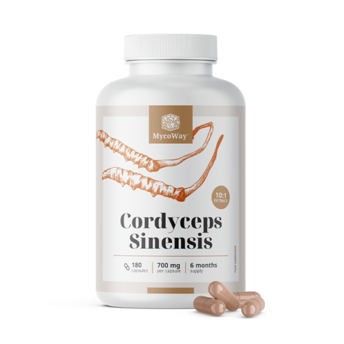 Cordyceps sinensis 1400 mg - ekstrakt 10:1, 180 kapsułek