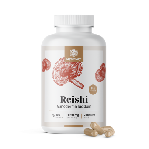 Reishi 1950 mg – ekstrakt 5:1, 180 kapsułek
