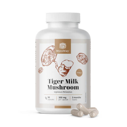 Tiger Milk 300 mg - ekstrakt z grzyba Lignosus rhinocerus, 90 kapsułek