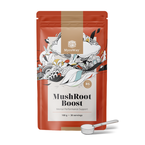 MushRoot Boost – napój poprawiający kondycję umysłową, 100 g