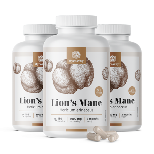 3x Coama leului 1000 mg – extract 5:1, total 540 de capsule