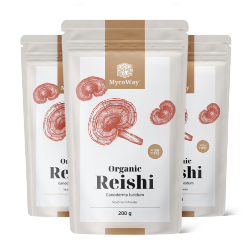 3x BIO Reishi v prášku, spolu 600 g