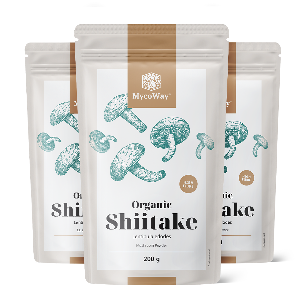BIO Shiitake vo forme prášku