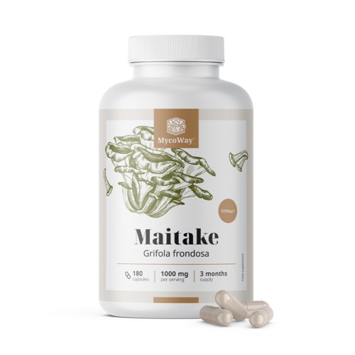 Maitake 1000 mg - Extract, 180 capsules