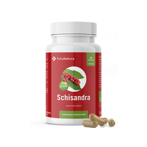 Schisandra – extract, 60 capsules