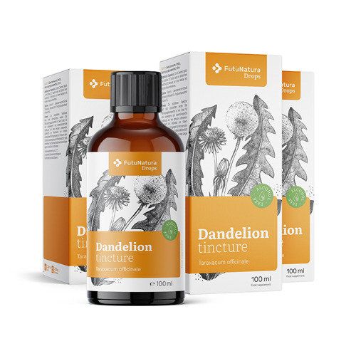 3x Paardenbloemwortel - tinctuur, totaal 300 ml