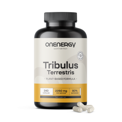 Erd-Burzeldorn – Tribulus 2250 mg, 240 Kapseln