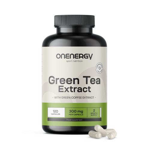 Grüner Tee 600 mg – Extrakt, 120 Kapseln