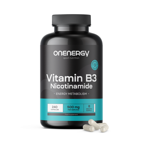 Vitamin B3 500 mg - Nikotinamid, 240 Kapseln