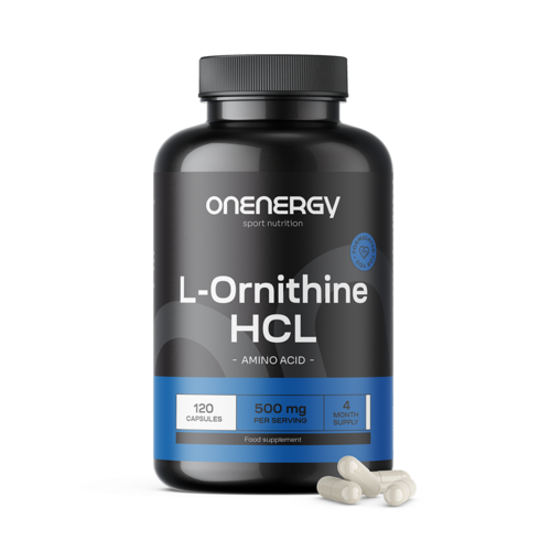 L-Ornithin HCL 500 mg, 120 Kapseln