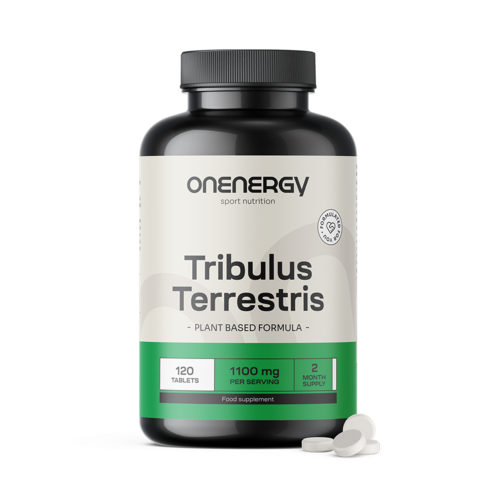 Erd-Burzeldorn (Tribulus) – Extrakt 15:1, 120 Tabletten